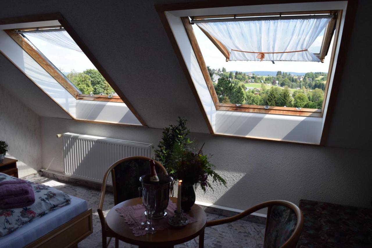Hotel Carola Schönheide Εξωτερικό φωτογραφία