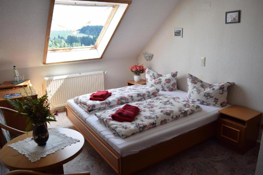 Hotel Carola Schönheide Εξωτερικό φωτογραφία